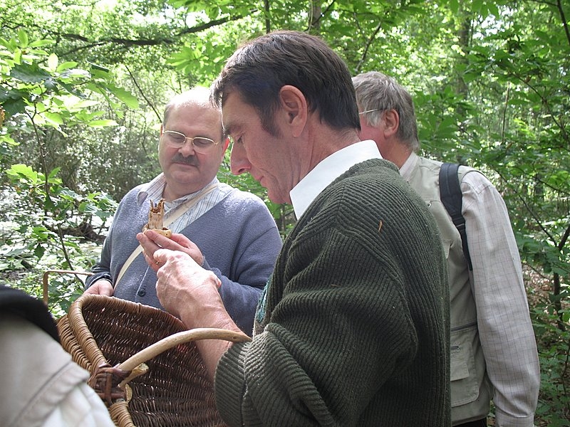 Myco Porte Baudet 05